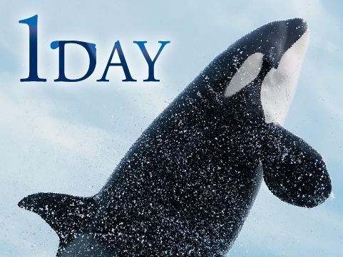 １DAY（Cタイム）13時入館