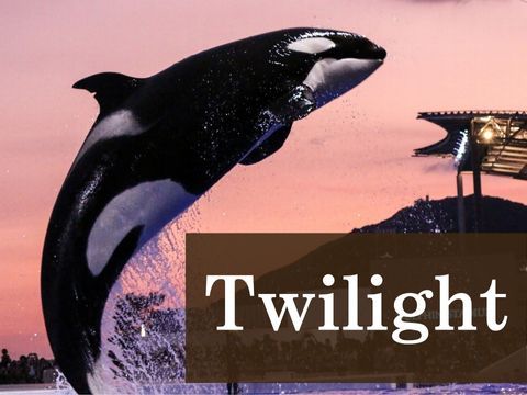 Twilight Ticket at 3pm