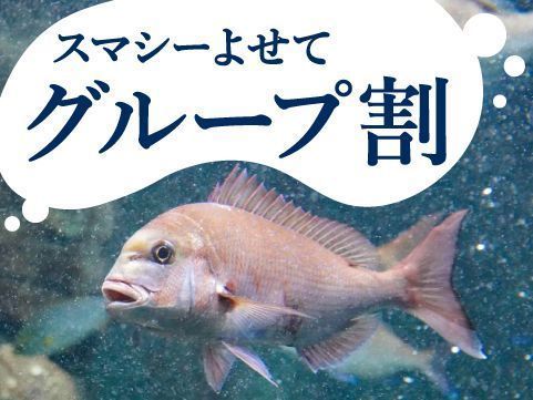 Spring New life Cherry blossoms Campaign