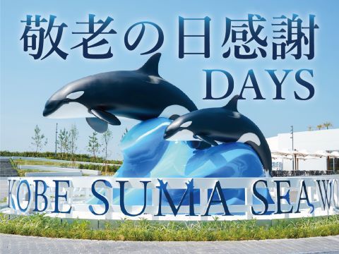 チケット購入